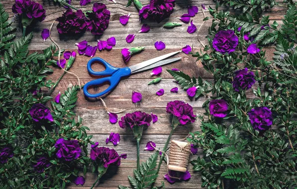 Picture leaves, petals, thread, fern, scissors, clove, periwinkle