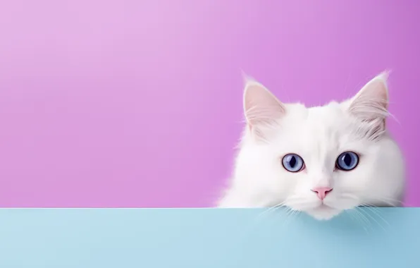 Cat, white, cat, look, pose, face, pink background, Peeps