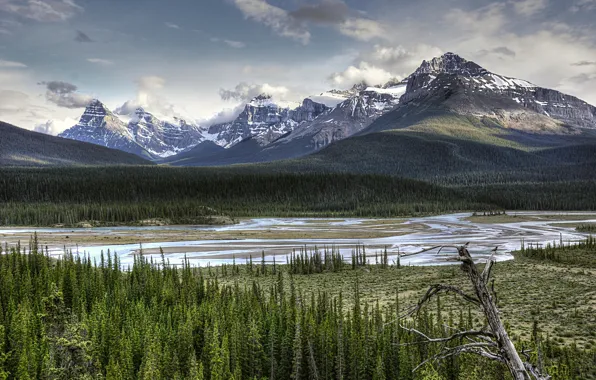Banff National Park, Alberta, river, trees, landscape, mountains, Jasper National Park, Canada.