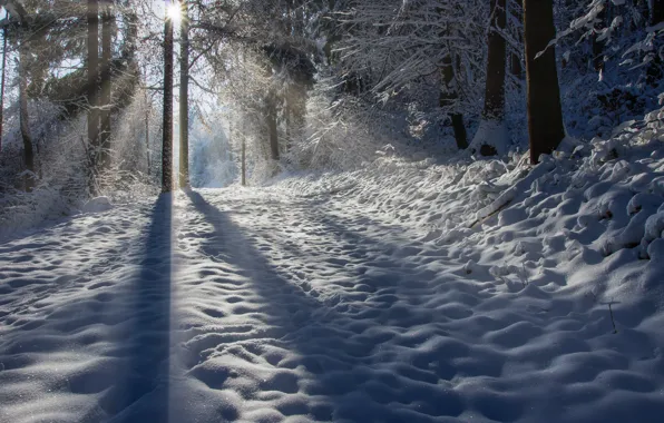 Winter, frost, road, forest, the sun, rays, light, snow