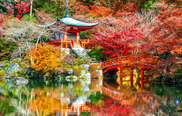 Autumn, leaves, trees, Park, Japan, Kyoto, nature, bridge