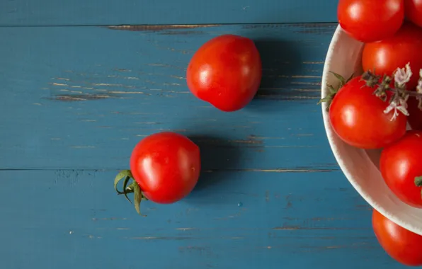 Board, plate, red, vegetables, tomatoes, blue background, tomatoes