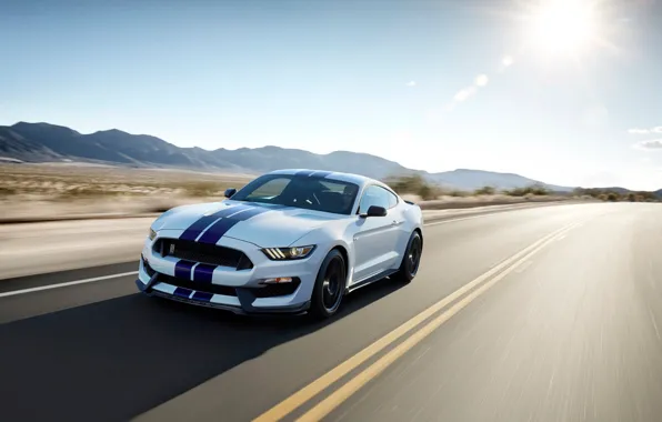 Picture movement, desert, speed, track, Mustang, Shelby, GT350
