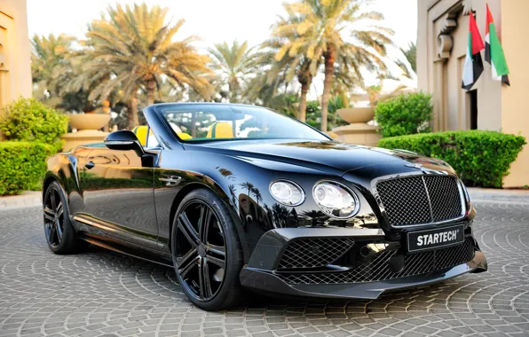 Picture black, Bentley, Continental, convertible, Bentley, continental, Startech