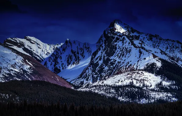 Forest, snow, mountains, Alberta, Canada, Maligne Lake