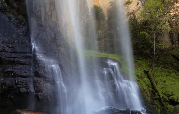 USA, USA, Oregon, Silver Falls State Park, State Oregon, Marion County, Marion County