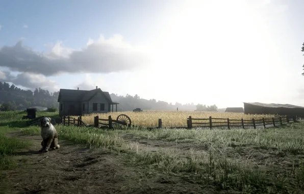 Dog, Scarecrow, Arthur, Cowboy, Red Dead Redemption 2