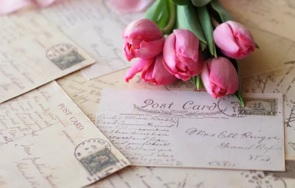 Flowers, tulips, pink, vintage, letters, cards, brand