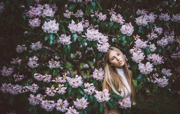 Girl, flowers, branches, blonde