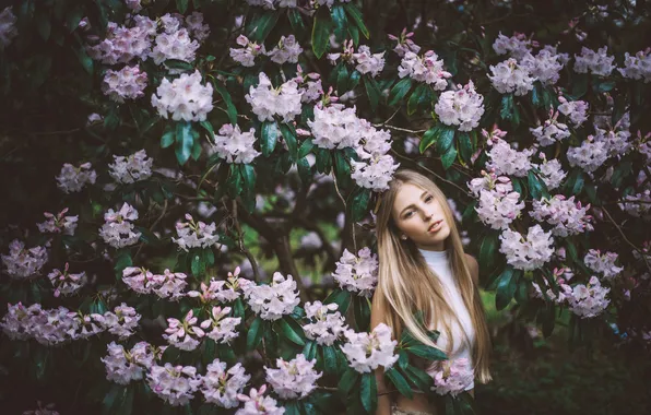 Picture girl, flowers, branches, blonde