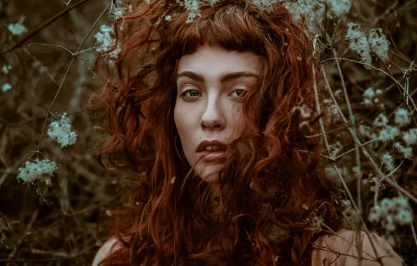 Eyes, look, girl, face, background, hair, lips