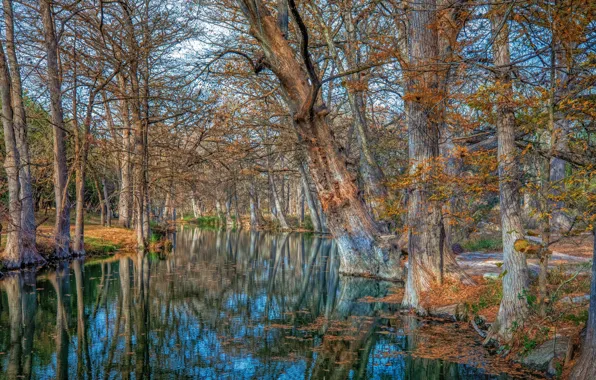 Texas, Wimberley, Cypress Creek