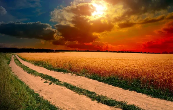 Picture road, field, summer, landscape, sunset, ears
