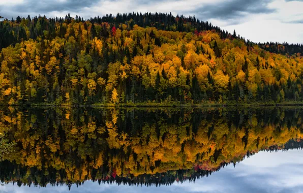 Autumn, forest, clouds, trees, lake, reflection, shore, yellow