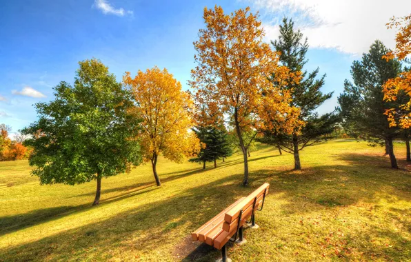 Picture autumn, the sky, grass, trees, Park, bench