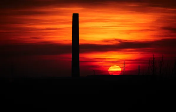 The sky, the sun, sunset, beauty, the evening, silhouettes