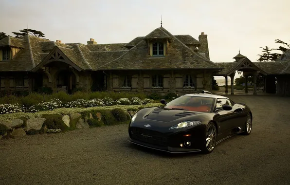 Nature, house, Spyker
