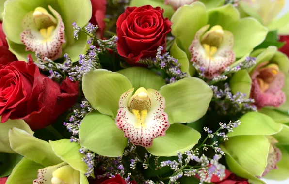 Picture flowers, roses, bouquet, Orchid