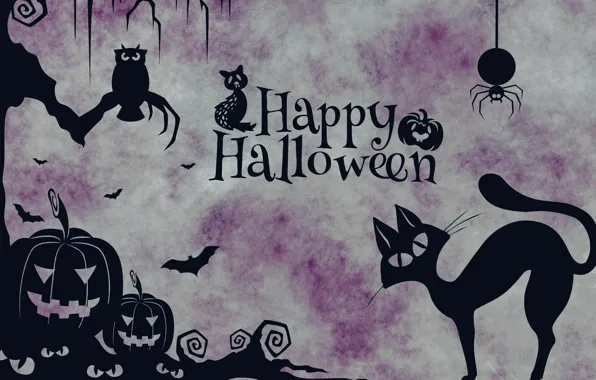 Picture holiday, Halloween, Halloween