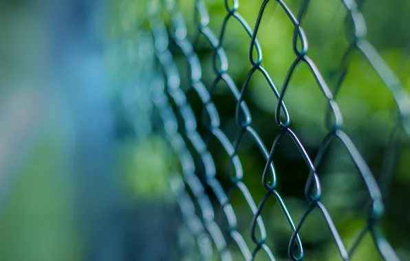 Macro, mesh, the fence, grille