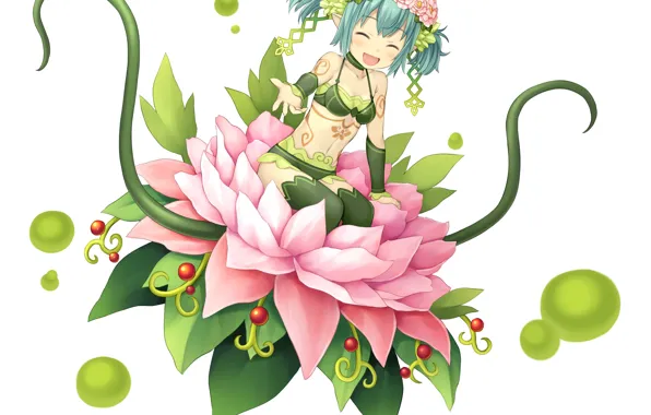 Flower, Girl, Monmusu Harem