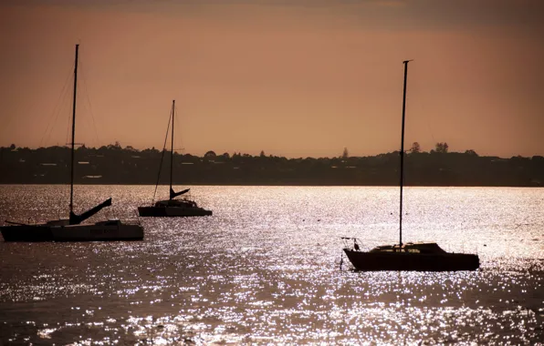 Sea, shore, yachts, the evening, sailboats, Aukland