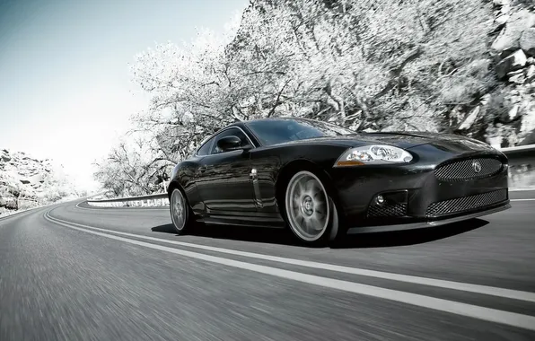 Road, trees, black, in the snow, Jaguar, Jaguar XK