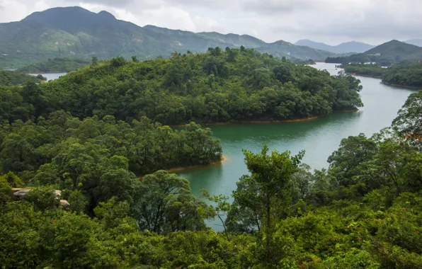 Forest, river, China, Hong Kong, China, river, Hong Kong, mountains.