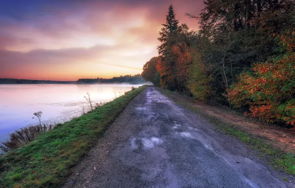 Picture road, autumn, fog, river