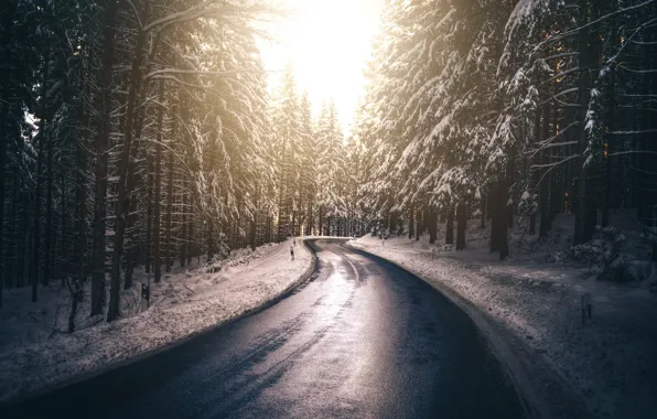Winter, road, forest