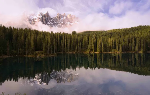 Forest, mountains, lake, reflection
