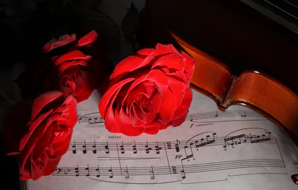 Picture flowers, notes, violin, roses