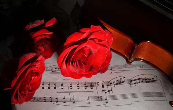 Flowers, notes, violin, roses