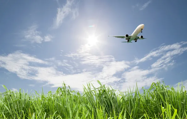 Picture greens, field, the sky, grass, the sun, clouds, flight, the plane