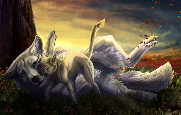 Autumn, cat, wolf