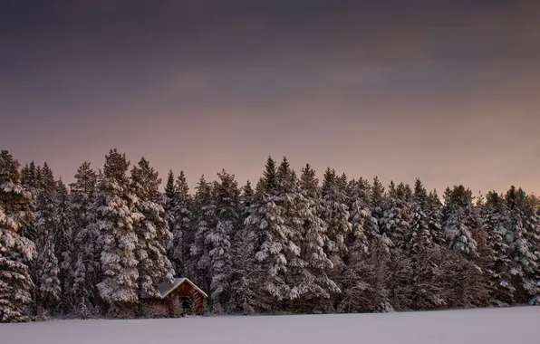 Winter, field, forest, the sky, clouds, snow, trees, landscape