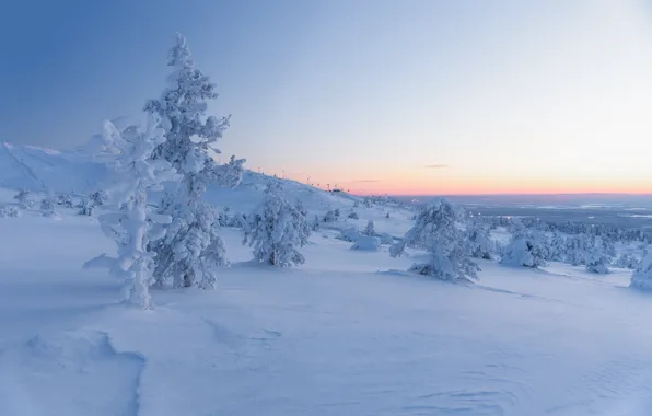 Picture winter, forest, the sky, snow, trees, mountains, hills, in the snow