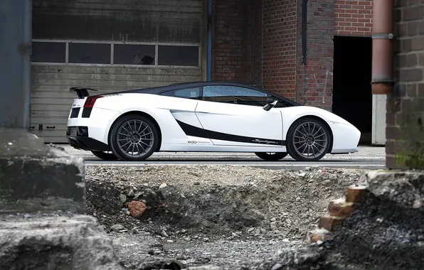 Picture tuning, spoiler, drives, side view, Lamborghini, edo competition, Superleggera, lamborghini gallardo superleggera