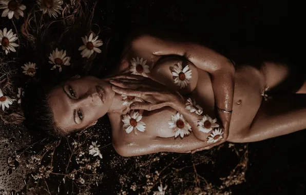 CHEST, BRUNETTE, FLOWERS, CHAMOMILE, LOOK.