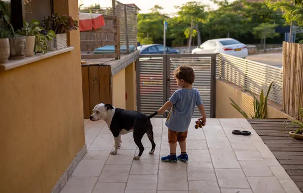 House, dog, boy, porch, He holds it by the tail