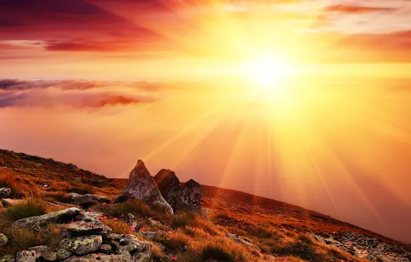 The sky, grass, the sun, clouds, rays, flowers, mountains, nature