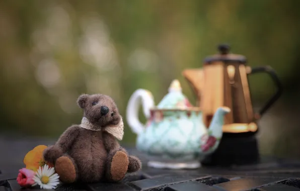 Childhood, background, toy, kettle, bear, bear, the tea party, dishes