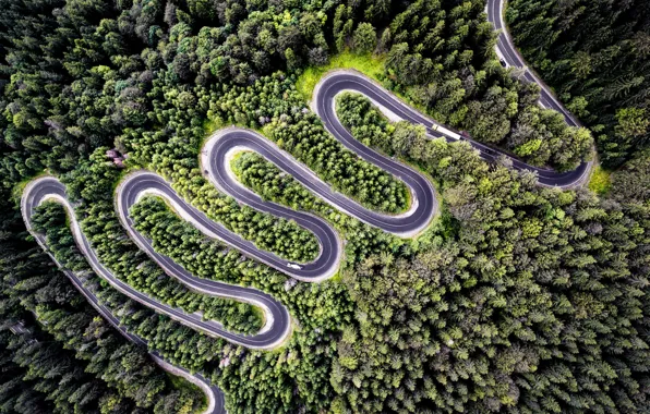 Road, forest, drone