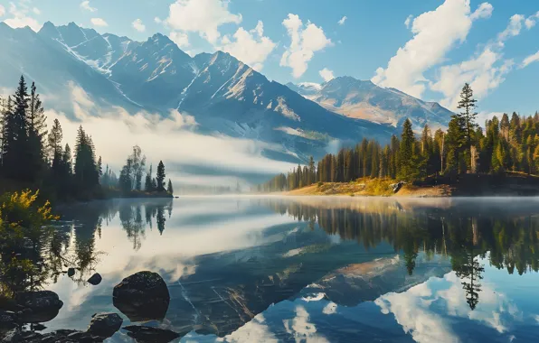 Forest, the sky, clouds, landscape, mountains, nature, fog, reflection