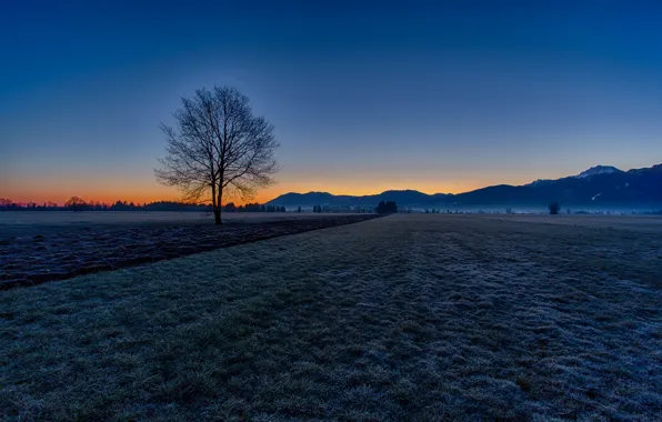 Picture frost, field, autumn, the sky, mountains, tree, morning
