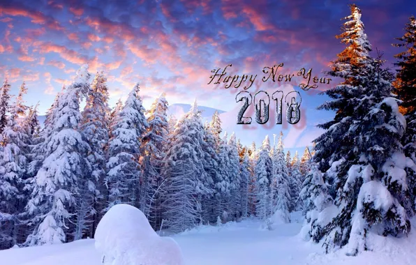 New year, 2018, New Year, Happy new year