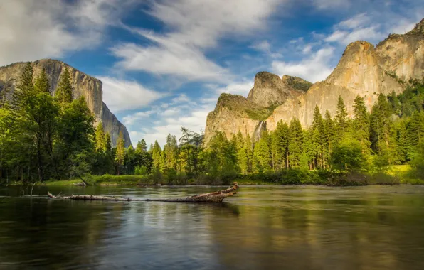Forest, mountains, nature, lake