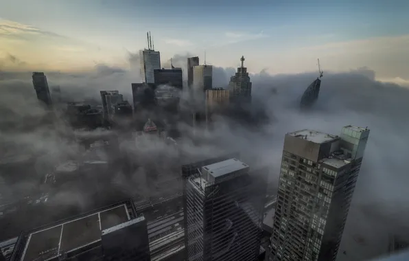 Fog, skyscrapers, Canada, Toronto, architecture
