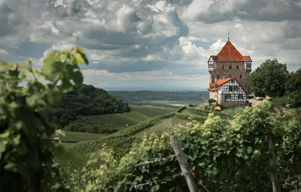 Wallpaper field, vineyard, posts, slope, architecture, castle, leaves, the fence