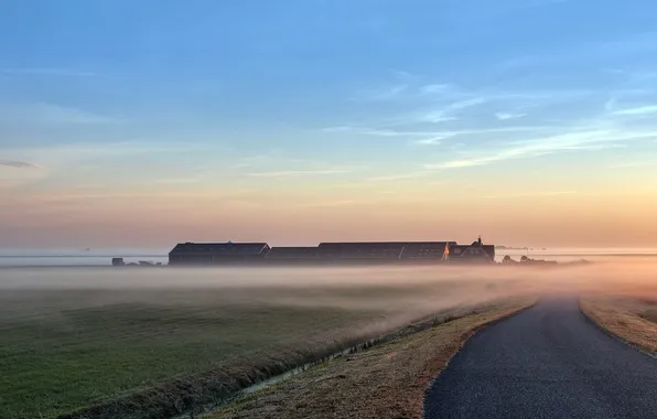 Picture road, landscape, fog